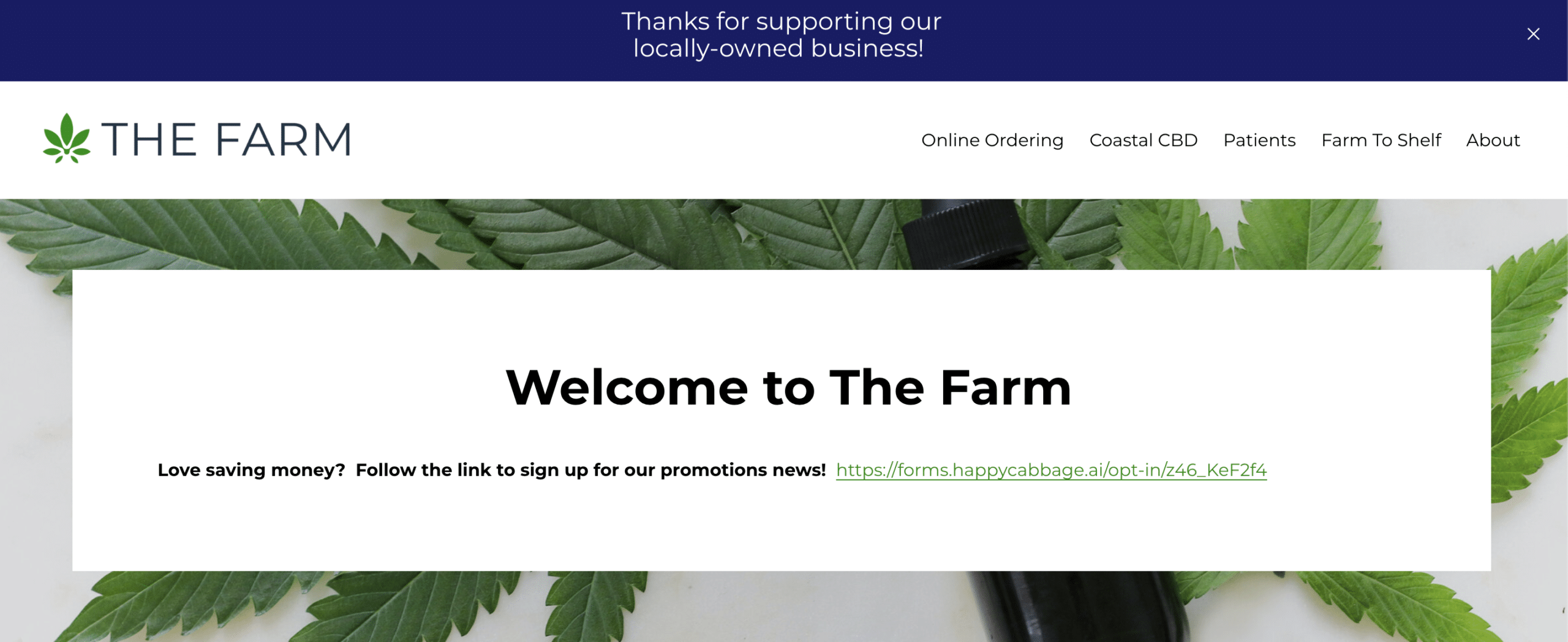 Bad dispensary web design